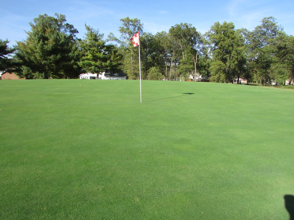 Hole 10 Green 