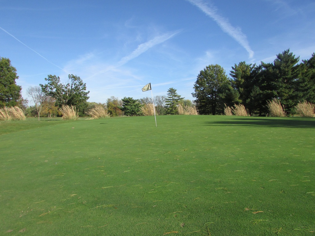 Hole 11 Green 