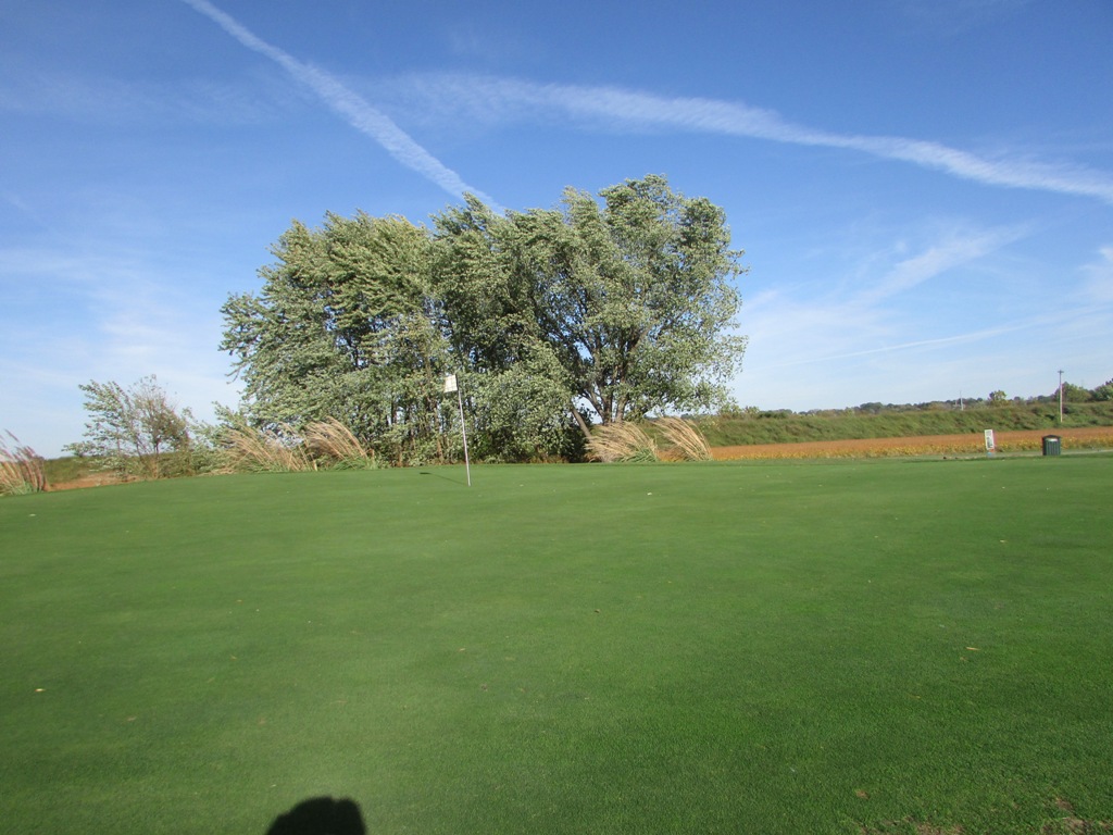 Hole 14 Green 