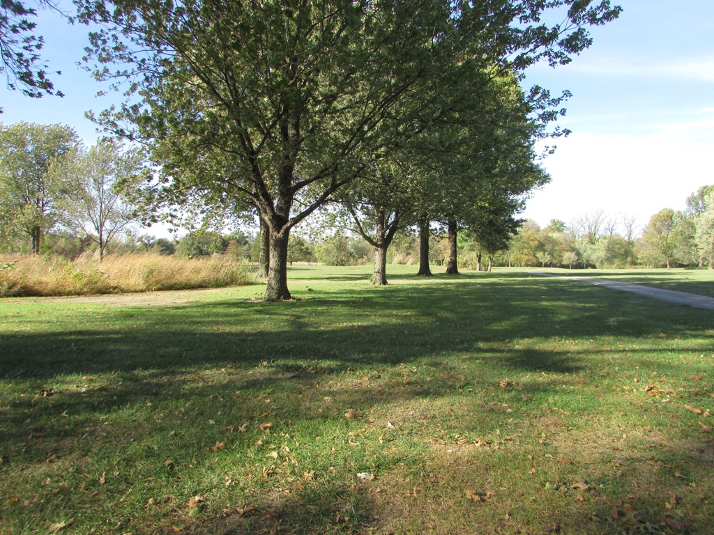 hole 3 Fairway